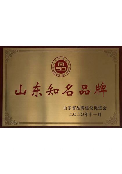 山东知名品牌